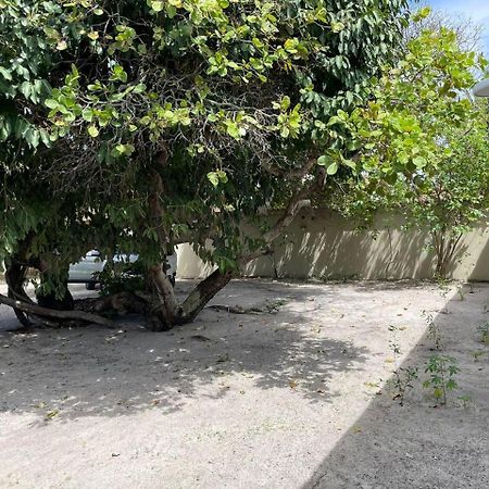 Recanto Das Aroeiras Alcobaça Zewnętrze zdjęcie